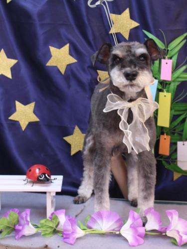 20230701ドンくん